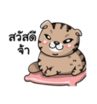 maewoey（個別スタンプ：11）