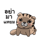 maewoey（個別スタンプ：23）