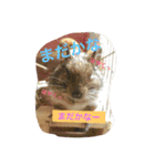 デグーのすあまちゃん（個別スタンプ：9）