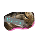 デグーのすあまちゃん（個別スタンプ：14）