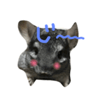 ららとまろ（個別スタンプ：2）