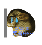 ららとまろ（個別スタンプ：7）