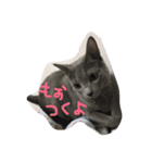 みなむ（個別スタンプ：4）