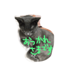 みなむ（個別スタンプ：5）