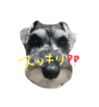 らんぼーくん（個別スタンプ：3）