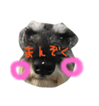 らんぼーくん（個別スタンプ：18）
