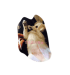 犬のろむくん日常（個別スタンプ：5）