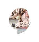 犬のろむくん日常（個別スタンプ：7）