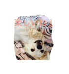 犬のろむくん日常（個別スタンプ：8）