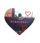komamiso（個別スタンプ：1）