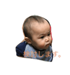 ぼくしんたん（個別スタンプ：1）