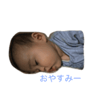 ぼくしんたん（個別スタンプ：6）