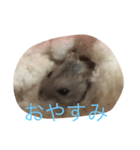 はむすたぁ（個別スタンプ：2）