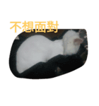 hi kiki（個別スタンプ：4）