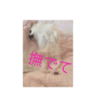 dock522（個別スタンプ：7）