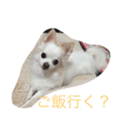 dock522（個別スタンプ：14）