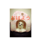 dock522（個別スタンプ：16）