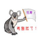 Koala family's chats(Chinese I)（個別スタンプ：8）