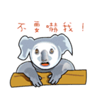 Koala family's chats(Chinese I)（個別スタンプ：11）