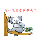 Koala family's chats(Chinese I)（個別スタンプ：26）