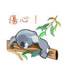 Koala family's chats(Chinese I)（個別スタンプ：27）