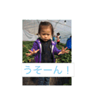 我が家の仲間たちをスタンプに。（個別スタンプ：1）