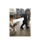戌年なので（個別スタンプ：6）