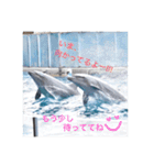 可愛い海獣たち♡（個別スタンプ：7）
