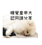 Dog Life2- Xing Hu（個別スタンプ：20）