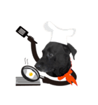 P. Black Labrador5（個別スタンプ：8）