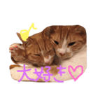 うちの猫のとらむたじじにゃん（個別スタンプ：2）