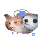 うちの猫のとらむたじじにゃん（個別スタンプ：12）