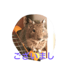 やすくろ家のデグーちゃん（個別スタンプ：2）