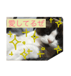 こはくさんスタンプpart2（個別スタンプ：1）
