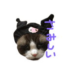 こはくさんスタンプpart2（個別スタンプ：3）