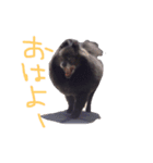 ぐっちゃんの日常2（個別スタンプ：7）