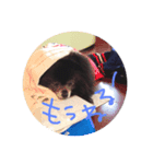 ぐっちゃんの日常2（個別スタンプ：9）