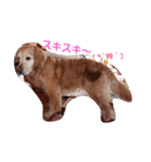ステラちゃんスタンプ（個別スタンプ：5）