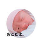 にちはちゃん（個別スタンプ：8）