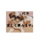new Mfam's WOL（個別スタンプ：1）