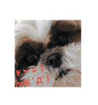 new Mfam's WOL（個別スタンプ：2）
