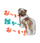 new Mfam's WOL（個別スタンプ：4）