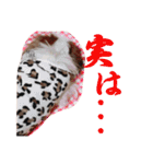 new Mfam's WOL（個別スタンプ：17）