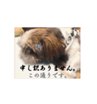 new Mfam's WOL（個別スタンプ：19）