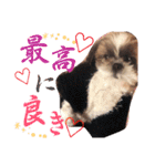 new Mfam's WOL（個別スタンプ：20）