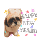 new Mfam's WOL（個別スタンプ：24）
