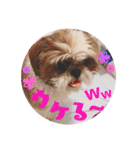 new Mfam's WOL（個別スタンプ：25）