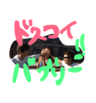 NO DIVEの日常（個別スタンプ：11）