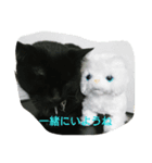 じじでーす（個別スタンプ：7）