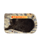 私はきんぐ（個別スタンプ：2）